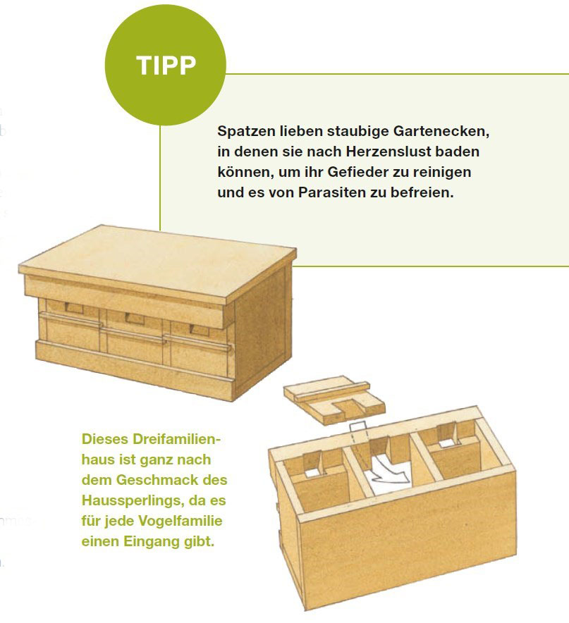 Spatzen Reihenhaus